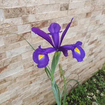 Casa Meraki Holiday home