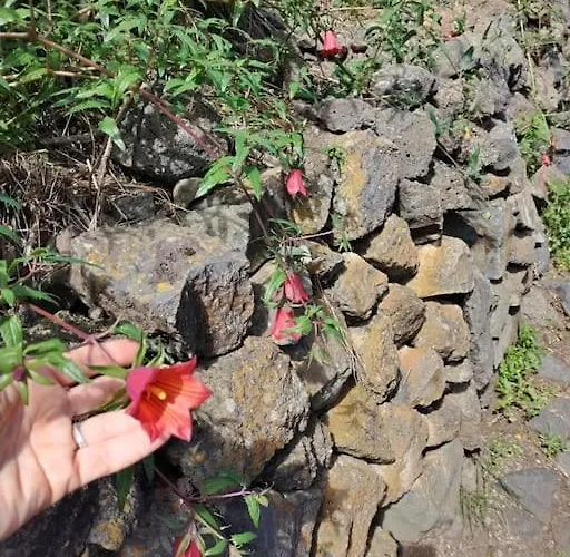 Casa Meraki * Ла-Гуанча