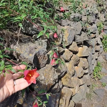 Casa Meraki * La Guancha